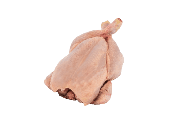 Hele kip bevroren 10st 1,2kg per stuk